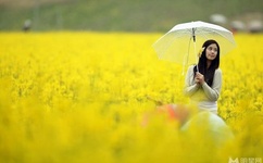 TOKYOVANIA在线播放电影